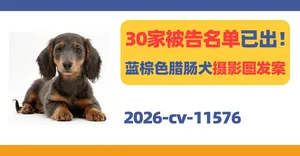 2026-cv-11576，30家被告名单已出！Warren Photographic腊肠犬摄影图发案！