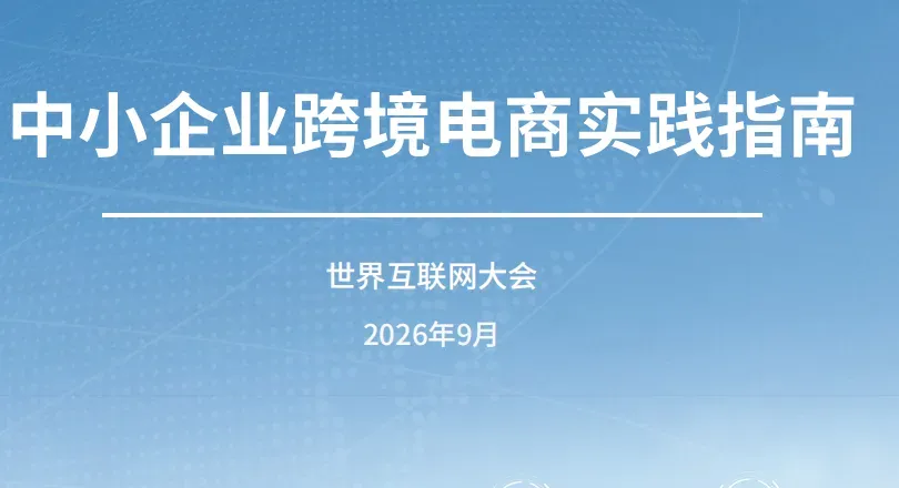 《中小企业跨境电商实践指南》PDF下载