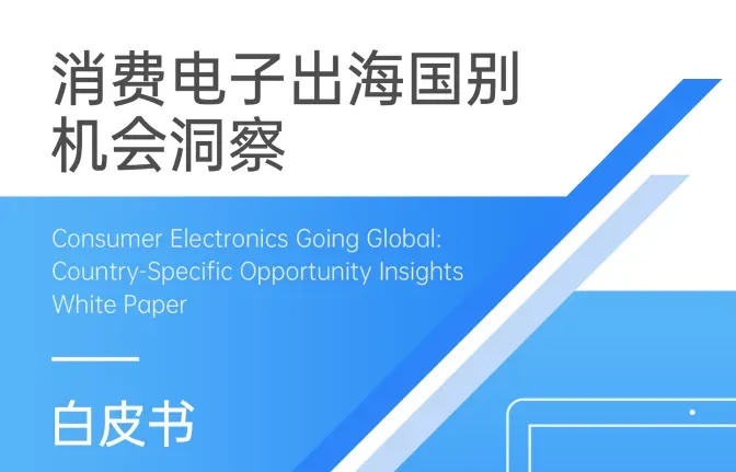 《消费电子出海国别机会洞察白皮书》PDF下载