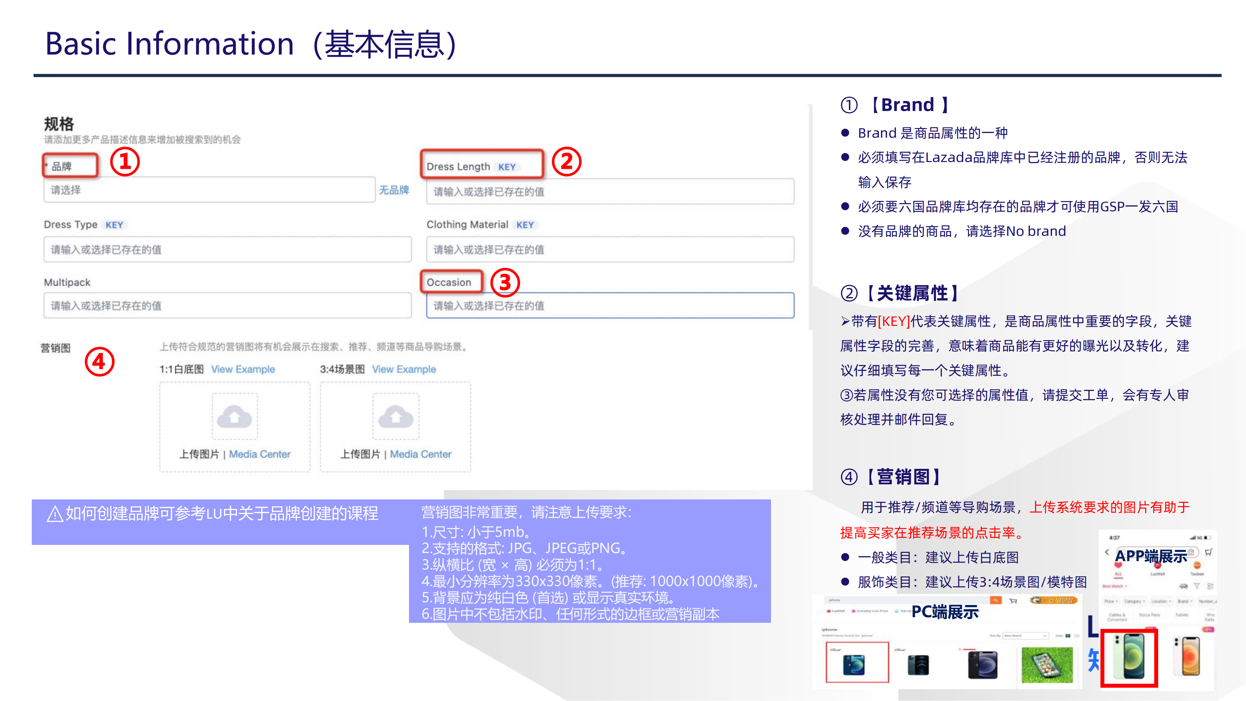 Basic Information(基本信息)3