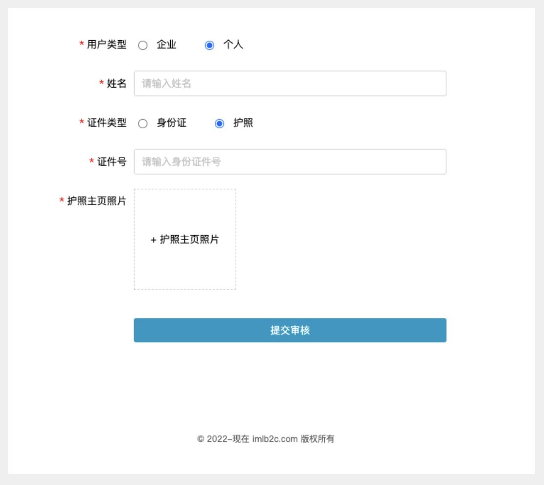 中国大陆以外的个体经营户需要按照以下示例