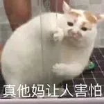 大变活树?亚马逊将出售“活的圣诞树”