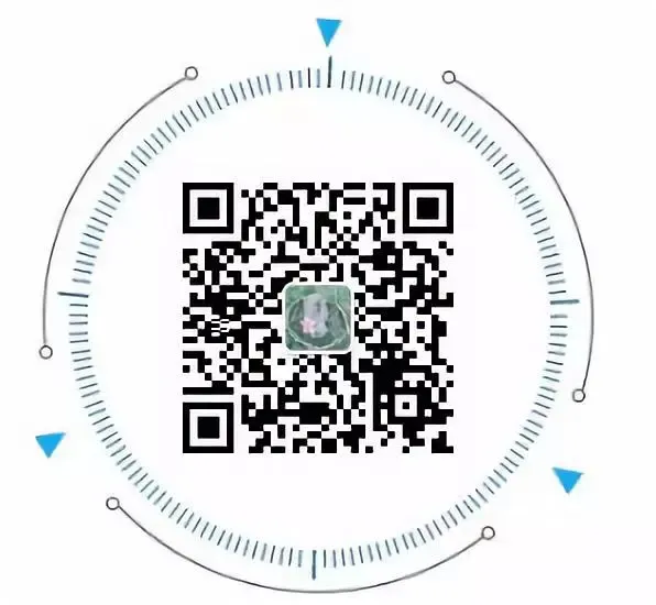 商标注册通过率100%,原来他们是这样做到的!