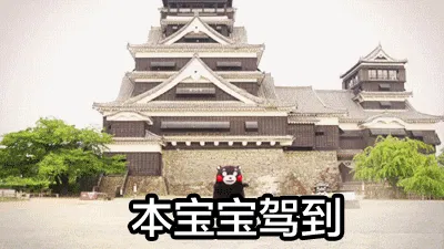 90天,带你死磕亚马逊技术那玩意儿!