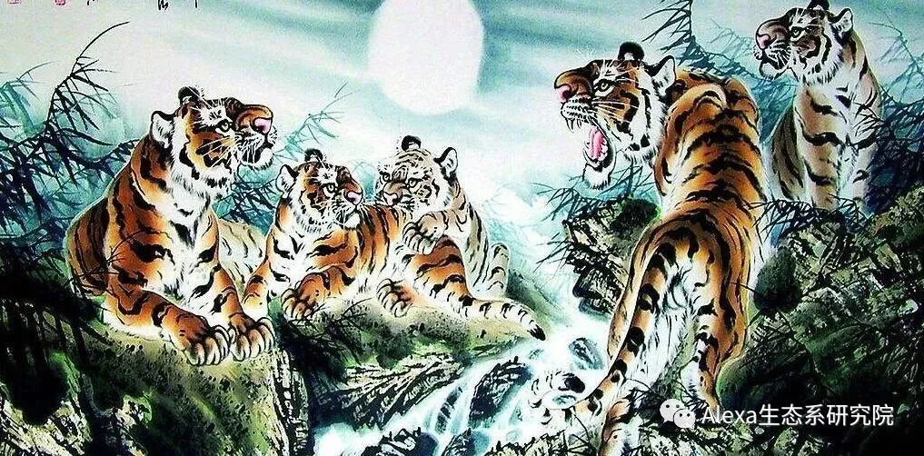 出海电商投融资有需求的可以看过来了