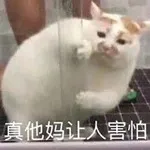 大变活树?亚马逊将出售“活的圣诞树”