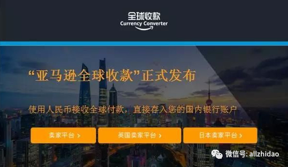 Amazon官方收款与其他收款方式对比分析