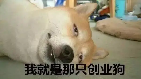 炮哥论跨境第135篇:跨境电商创业狗如何忽悠到你想要的合伙人