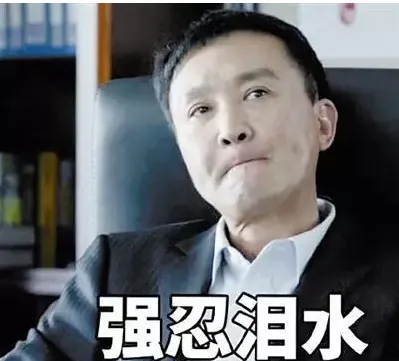 月均佣金8500美金,17个月大的亚马逊Affiliate站售价30万美金? What?