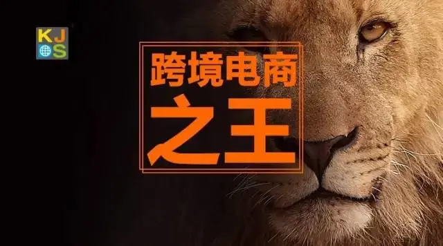 谁是跨境电商之王?