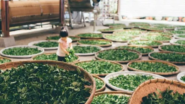 农产品出海,这事靠谱吗?