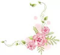 这款“伪”中国制造在美国遭哄抢！