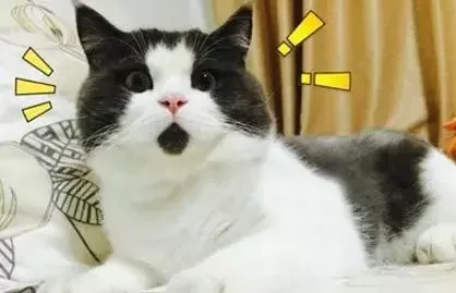 如何获取用户? 如何获取用户?
