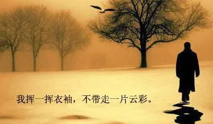 美国亚马逊老卖含泪讲述:我们为什么转战沃尔玛?