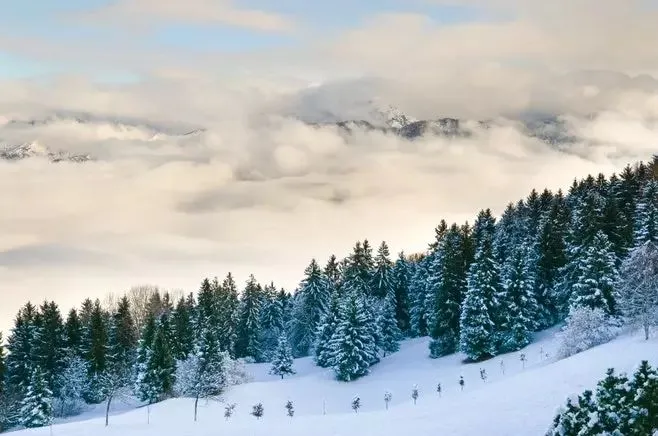 a large cloud behind a tree-lined mountain covered in snow