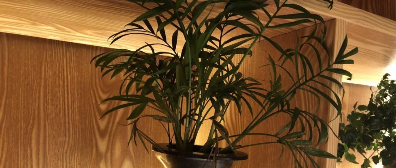 这周,国务院出台退税新政 这家跨境电商被索赔10亿元!