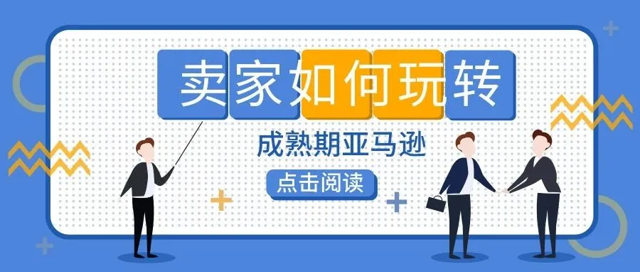 进入成熟期的亚马逊,各位卖家如何玩转!戳进来