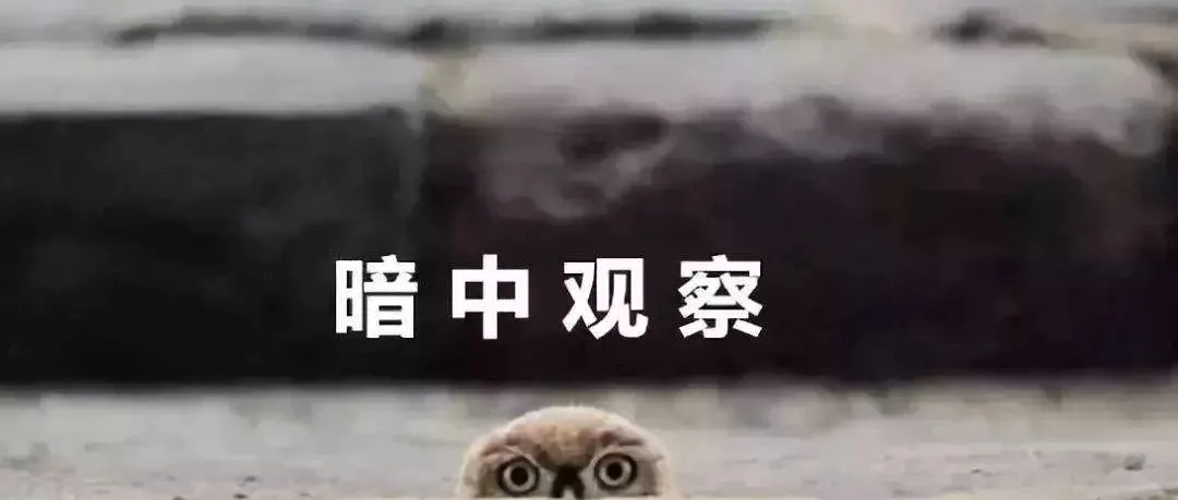 重磅！跨境电商进口监管新政即将出台