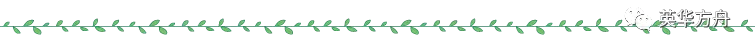 春天 绿叶分割线