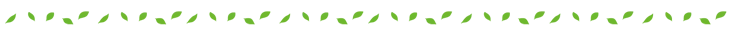 春天 绿叶分割线