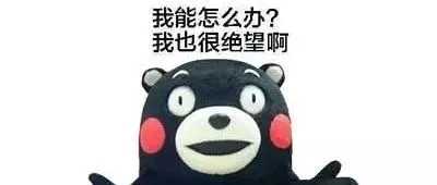 eBay将于2019年开始对美国四个州征收电商销售税