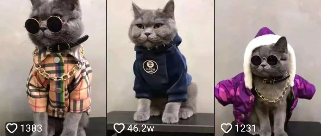 拼多多的强势崛起和Joom的搅局-再看社交电商在2018的爆发