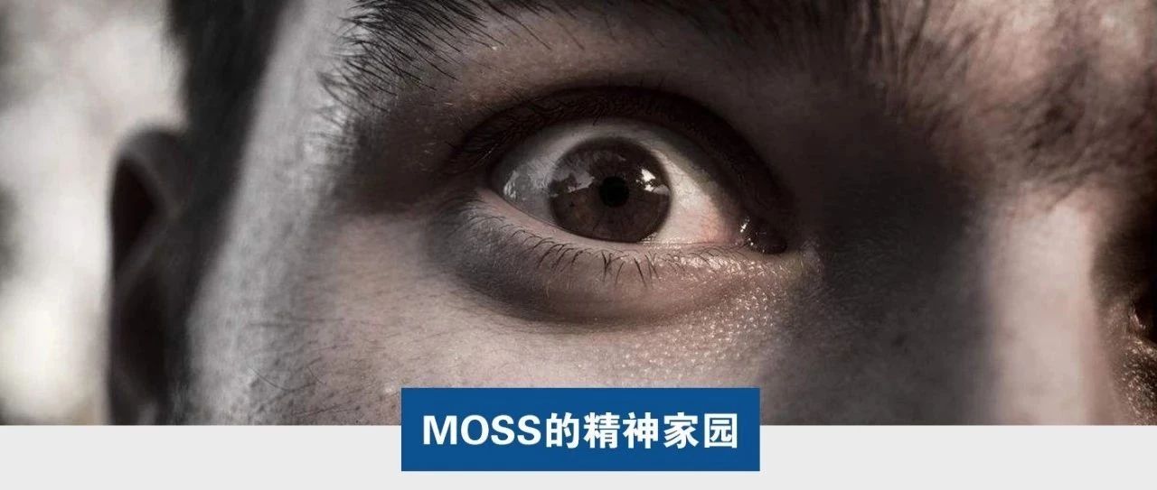 Moss：亚马逊卖家的恐惧，你永远不懂