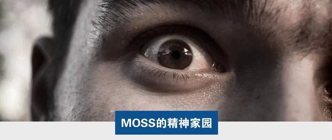 Moss：亚马逊卖家的恐惧，你永远不懂