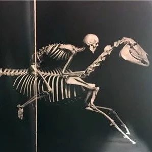 这个俄罗斯平台向中国市场开放 背靠东欧最大的银行