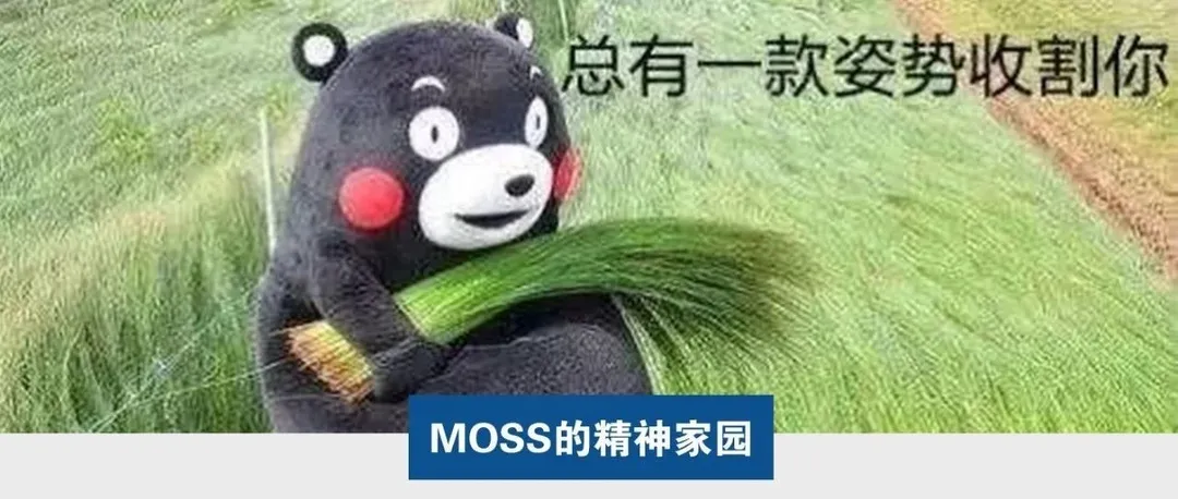 Moss：一个亚马逊老韭菜眼里的中东和印度站点