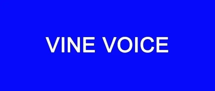 什么是VINE VOICE Review?
