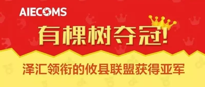 有棵树夺冠……