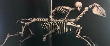 1020亿美元！这个带有中国“影子”的市场崛起ing