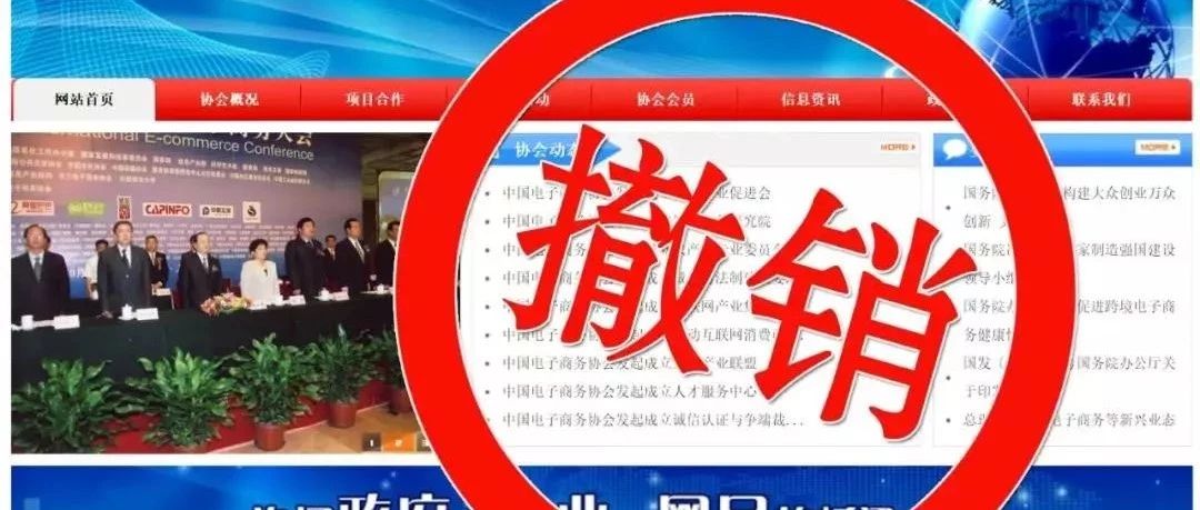 民政部对《中国电子商务协会》作出撤销登记的行政处罚