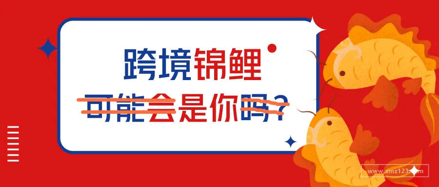 AMZ123跨境锦鲤诞生!原来是个大卖,居然还有干货分享!