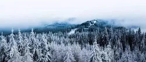 亚马逊官宣:卖家需在3月29日前密切关注无协议脱欧,并做好相应准备;亚马逊推专属经理服务,不便宜?当然了!