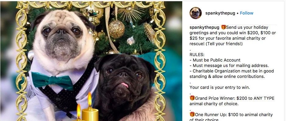 圣诞节Instagram营销案例汇总