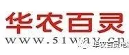 亚马逊卖家如何进行选品？