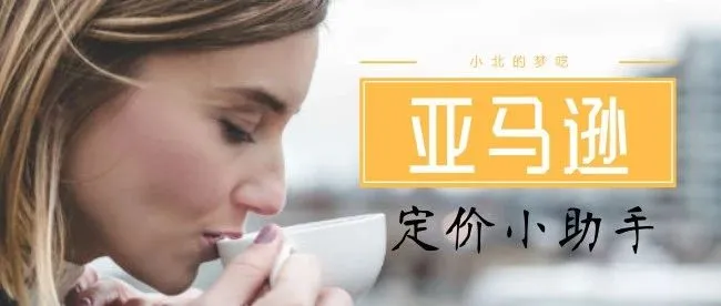 有哪些好用的亚马逊定价工具?