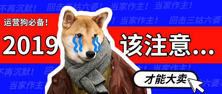分析 | 2019成为大卖,你需要注意哪些?