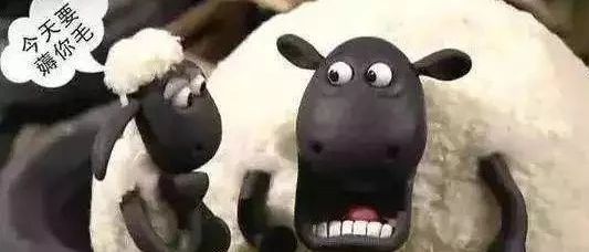 拼多多一夜被薅200多亿？