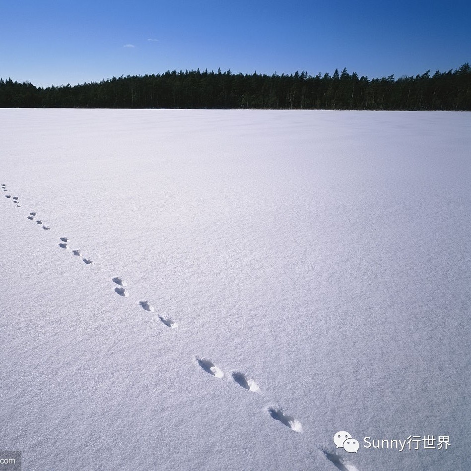 亚马逊跨境电商成长之路