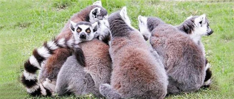 卖家们，我们来抱团取暖度过寒冬