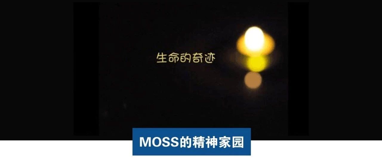 Moss：今天不聊亚马逊，只谈风月