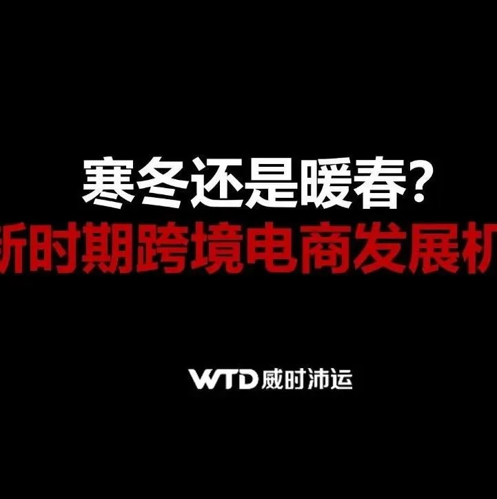 威时沛运市场总监— —王和:【寒冬还是暖春?新时期跨境电商发展机遇】