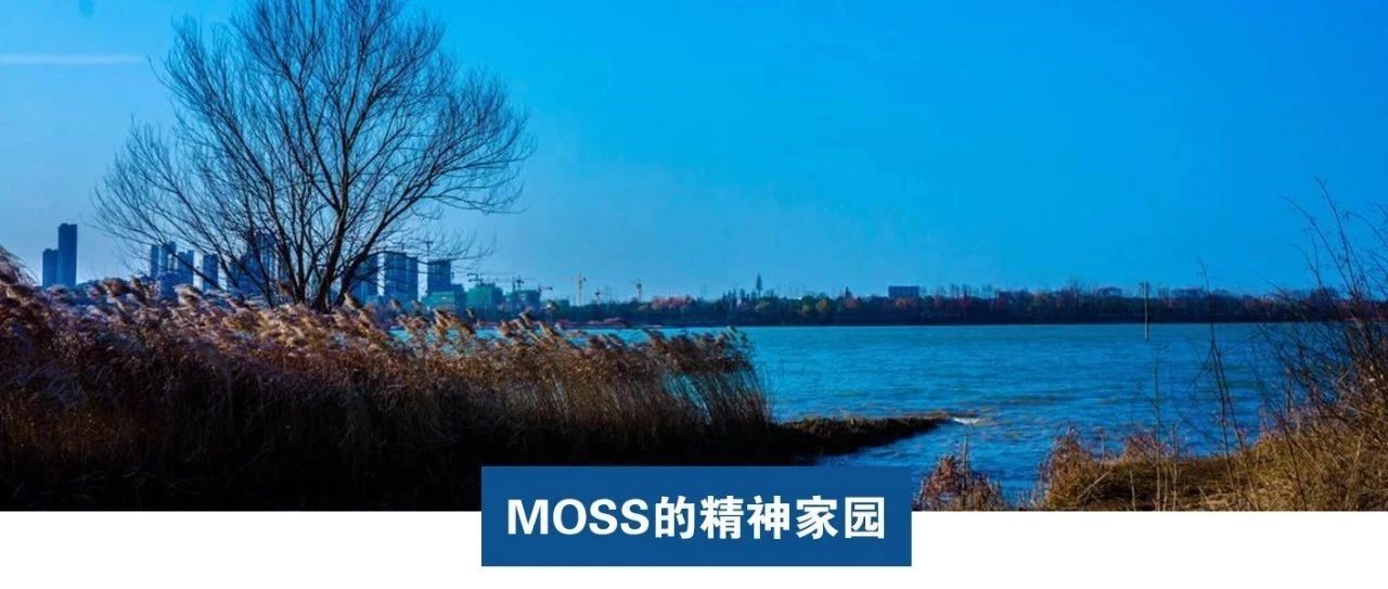 Moss：讲述我们亚马逊人自己的2018