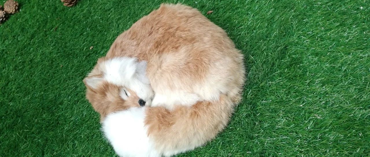 来瞧瞧跨境电商大佬的读书清单