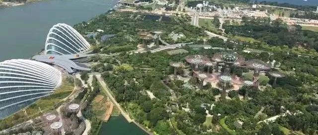 英国针对“虚假礼品申报”出新规 跨境电商将受影响?