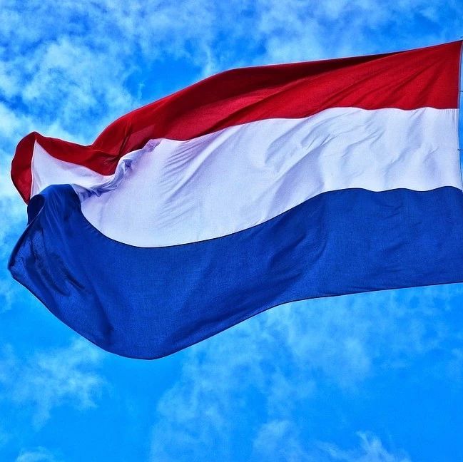 快讯！荷兰加入香港公约