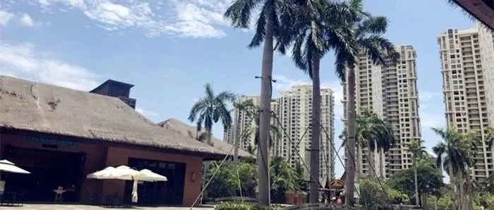 资本加持的非洲电商市场 今年要变天?